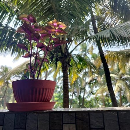 Kumbaya Beachside Hostel & Apartments At Arambol Beach Exteriör bild